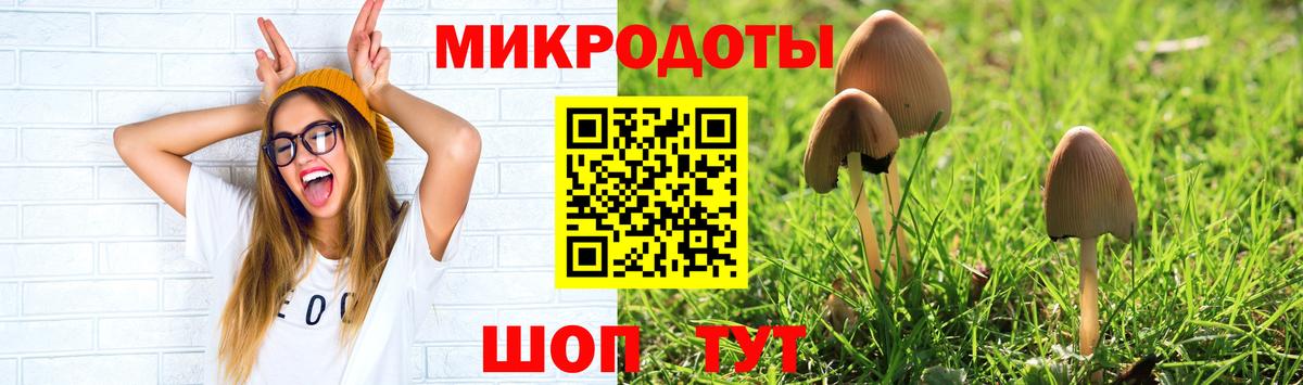 Галлюциногенные грибы мицелий  Вход с VPN  Моздок 